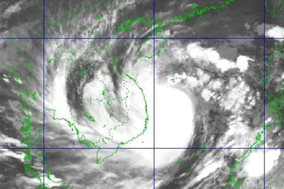Bão số 9 giật cấp 17 áp sát Đà Nẵng-Phú Yên, đảo Lý Sơn gió giật 26 m/giây