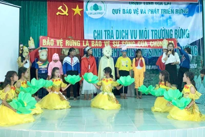 Gia Lai: Nâng cao ý thức bảo vệ rừng trong học sinh