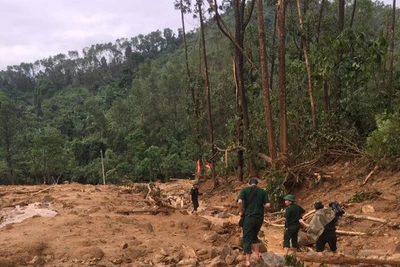 26km - 4 thủy điện: Những con sông đang oằn mình "gánh" thủy điện