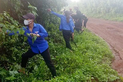 Gia Lai: Đoàn viên, thanh niên ra quân "Ngày cao điểm tình nguyện chung tay xây dựng nông thôn mới năm 2022"
