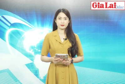 Gia Lai 48h: Gia Lai thi hành kỷ luật 41 đảng viên trong quý I-2022