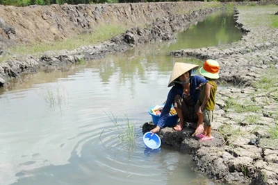 Cảnh báo hạn hán, thiếu nước cục bộ ở Trung bộ, Tây nguyên