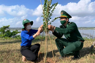 Tháng Thanh niên: Nhiều công việc có ích giúp cuộc sống người dân tốt hơn