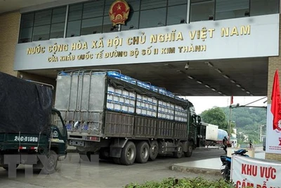 Hỗ trợ doanh nghiệp đẩy nhanh đăng ký mã số xuất khẩu sang Trung Quốc