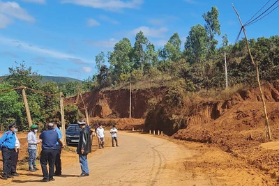 Kiên quyết xử lý vi phạm hành lang an toàn giao thông