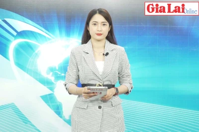 Gia Lai 48h: Ban hành Kế hoạch tuyển dụng 139 chỉ tiêu công chức năm 2022