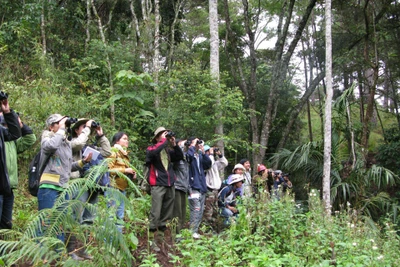 Hòa nhịp thở cùng thiên nhiên hoang dã