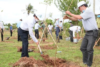 Năm 2022, Gia Lai trồng 1.300 ha cây phân tán