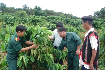 Binh đoàn 15: Chỗ dựa tin cậy của người dân vùng biên