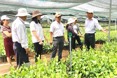 Hội nghị xúc tiến đầu tư năm 2018: "Mang chuông đi xứ người"