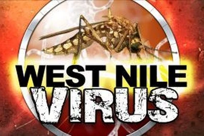 Virus Tây sông Nile và Zika có thể gây ra các bệnh về tiêu hóa