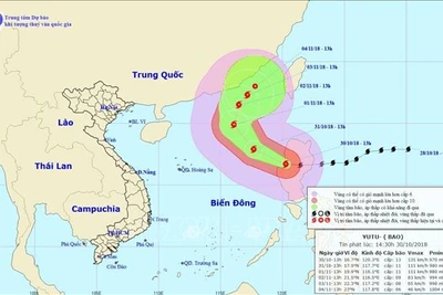 Bão số 7 gây mưa, gió giật cấp 14, biển động dữ dội