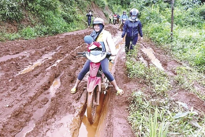 Tây Nguyên mùa gieo chữ