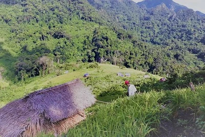 Nông nghiệp sạch của người vùng cao