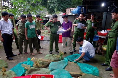 Tận diệt chim, thú hoang dã: Mạnh tay với nạn săn bắt, tiêu thụ