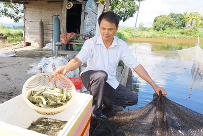 Trên đồng đất đời người - Kỳ cuối: Đất vỡ