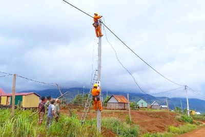 Công ty Điện lực Gia Lai nỗ lực về đích các dự án điện