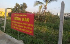 Chính sách bám sát thực tiễn