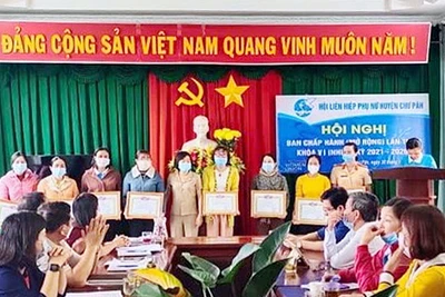 Chư Păh: Biểu dương 55 tập thể, cá nhân trong công tác Hội và phong trào phụ nữ