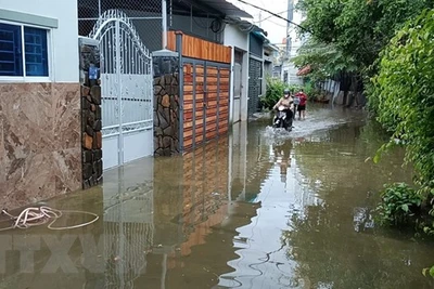 Từ Quảng Nam-Khánh Hòa, Kon Tum, Gia Lai nguy cơ có lũ quét, lở đất