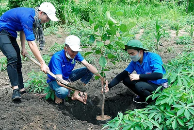 Góp sức trẻ "Vì một Việt Nam xanh"