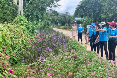 Nhiều hoạt động chào mừng thành công Đại hội đại biểu Phụ nữ tỉnh Gia Lai