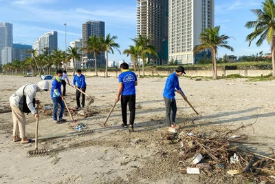 100 thanh niên Đà Nẵng dọn hàng tấn rác thải làm sạch bãi biển