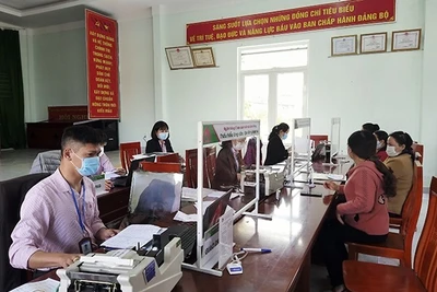 Sức sống mới trên miền đất Nam Tây Nguyên