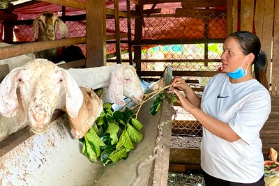 Siu H'Chuyên nói đi đôi với làm