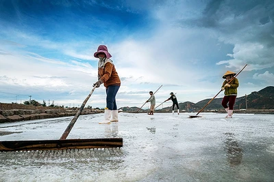 Gia Lai: 2 tác phẩm triển lãm tại cuộc thi quốc tế "Nhiếp ảnh gia môi trường"