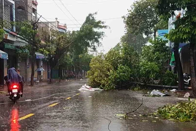 Huyện Tuy Phước (Bình Định): Một cụ bà bị chết trong cơn bão số 12