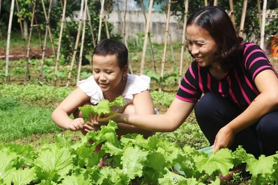 Vượt qua nỗi đau ung thư: Nghị lực sống của mẹ con cô giáo