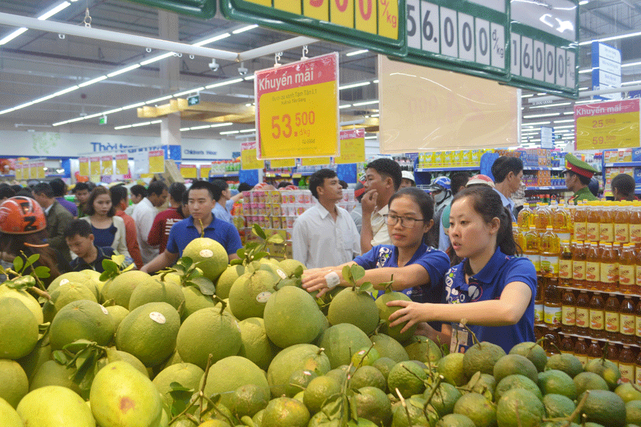 Gia Lai và TP. Hồ Chí Minh: Thắt chặt hợp tác đầu tư