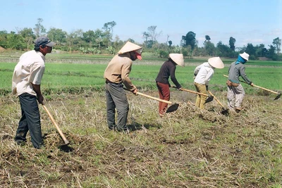 Quan tâm đất sản xuất cho đồng bào dân tộc thiểu số