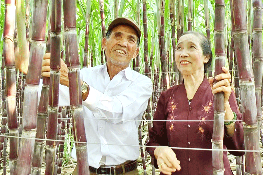 "Tuổi cao chí càng cao"