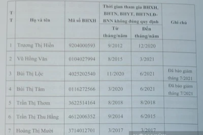 TT-Huế: Phát hiện doanh nghiệp đưa nhiều người tham gia bảo hiểm sai đối tượng, trục lợi hàng trăm triệu đồng