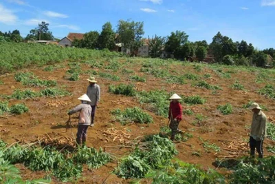 Góc nhìn phóng viên: Nhìn từ chuyện nhà máy xin... giải cứu