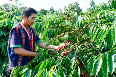 Bộ trưởng Bộ Nông nghiệp và PTNT Lê Minh Hoan: Gia Lai phấn đấu trở thành trung tâm nông sản của Tây Nguyên