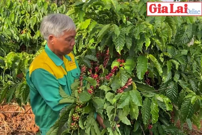 Ông Siu Buk-Thay đổi nếp nghĩ, cách làm để thoát nghèo