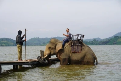 Triển khai mô hình du lịch sinh thái thân thiện với voi tại Đắk Lắk