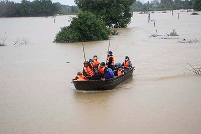 Gia Lai chủ động ứng phó với cơn bão số 9