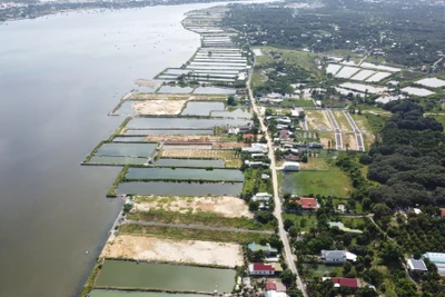 Tung tin 'đại bàng chúa làm tổ' để kích giá đất ở Nha Trang