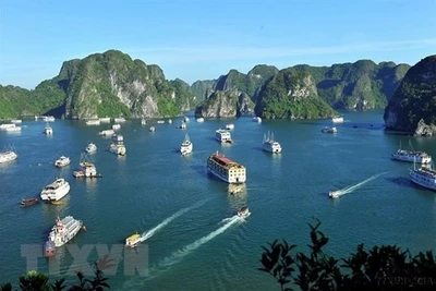 Quảng Ninh sẽ mở cửa đón khách quốc tế trong tuần đầu tiên năm 2022