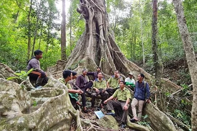 Bảo tồn Khu dự trữ sinh quyển thế giới Cao nguyên Kon Hà Nừng