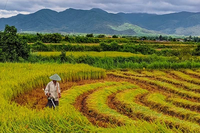 Đak Pơ đánh thức tiềm năng du lịch