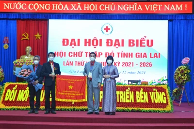 Ông Dương Đình Diện tái đắc cử Chủ tịch Hội Chữ thập đỏ tỉnh Gia Lai