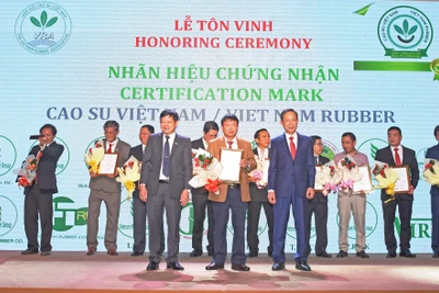 Công ty Cao su Chư Păh: Sôi nổi phong trào thi đua lao động sản xuất