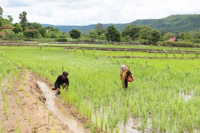 Bạn đồng hành với nông dân