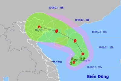 Chủ động ứng phó với áp thấp nhiệt đới có khả năng mạnh lên thành bão