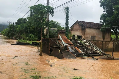 Mưa lớn làm hàng trăm ha hoa màu và nhiều nhà dân Gia Lai bị ngập